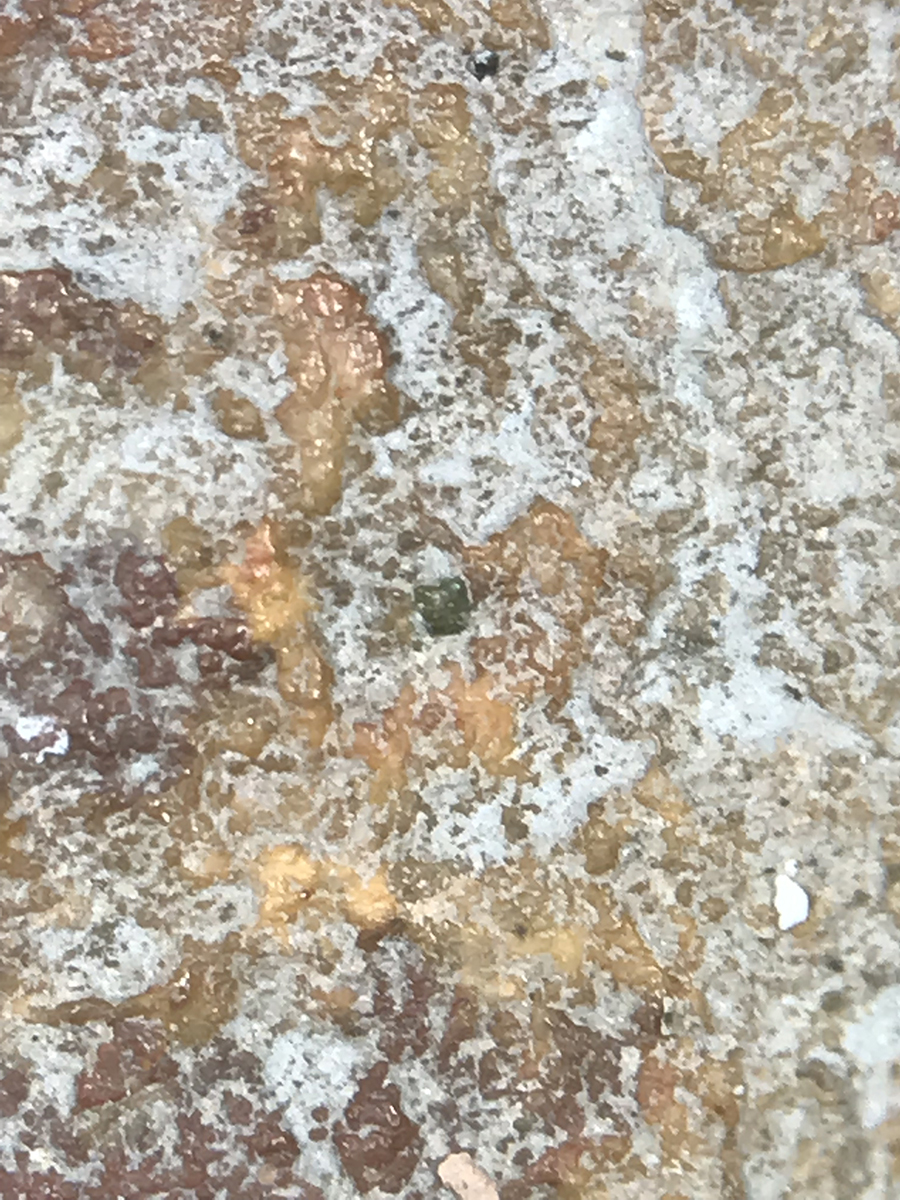 Figura 19. Detalle de la rugosidad pétrea con restos de mortero de cemento portland (zonas blanquecinas) depositado en las concavidades superficiales.